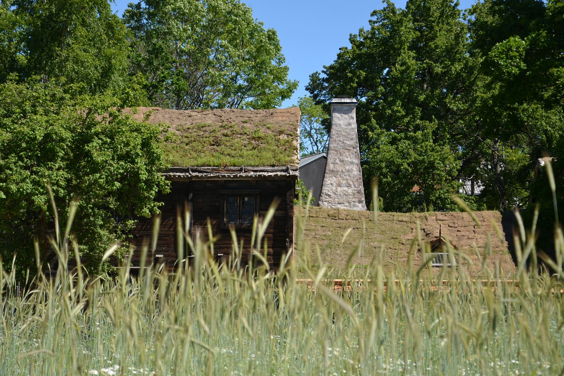 Historic farmhouse with a turf roof at Skansen open-air museum, Stockholm